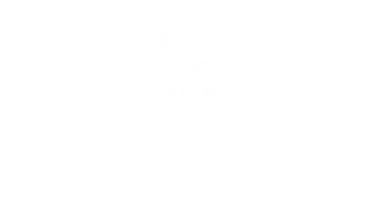 Gayet Metois Formation